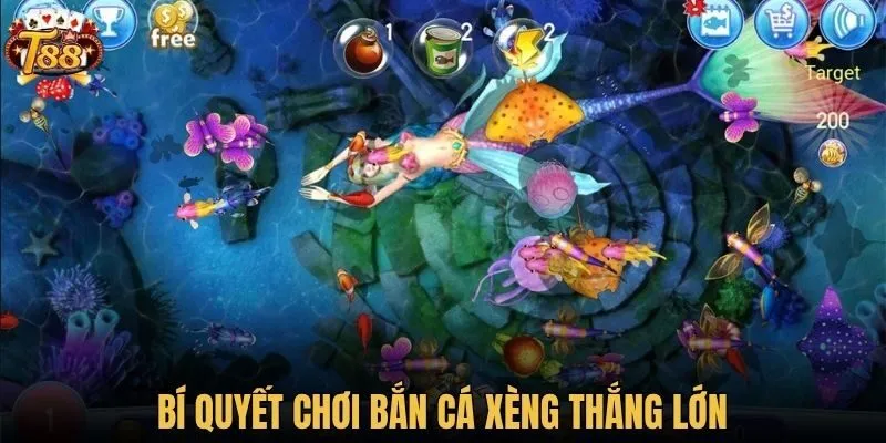 Bí quyết chơi bắn cá xèng thắng lớn