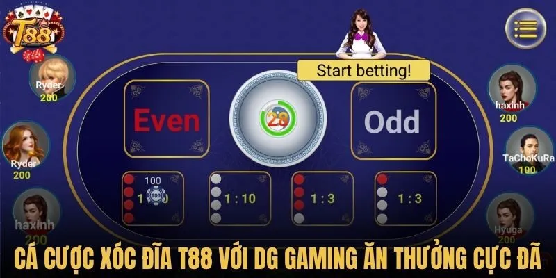 Cá cược xóc đĩa T88 với DG Gaming ăn thưởng cực đã